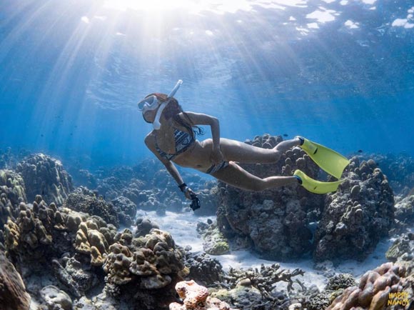 แนนซี่ นัยน์ภัค แนนซี่ นัยน์ภัค