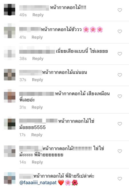 ปุยฝ้าย AF4 ปุยฝ้าย AF4