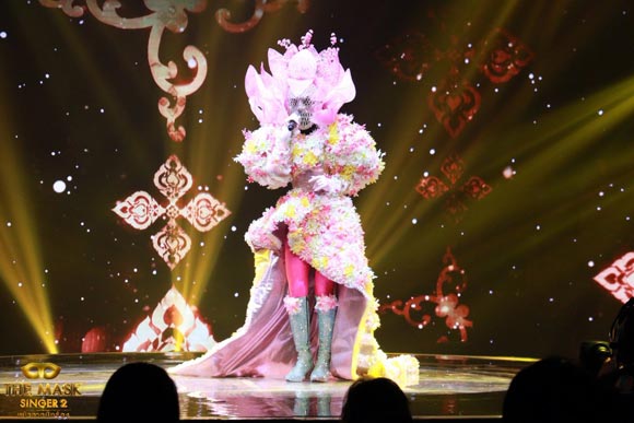 ปุยฝ้าย AF4 ปุยฝ้าย AF4