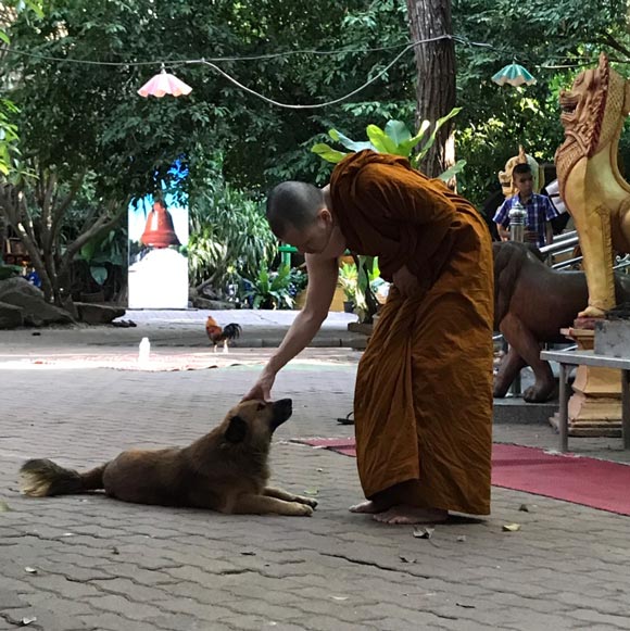 ก้อง Hive salon ก้อง Hive salon