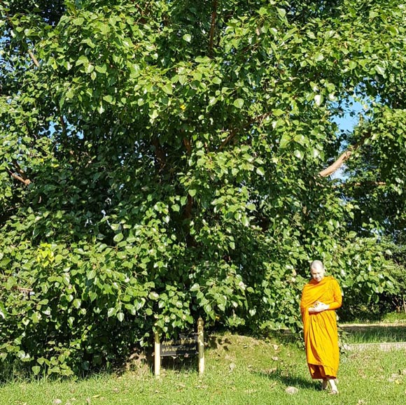 ก้อง Hive salon ก้อง Hive salon