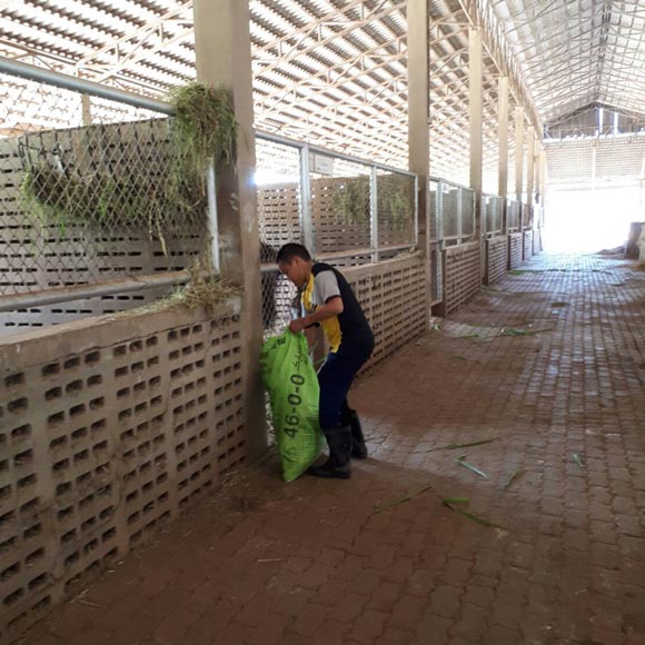 น้องปราบ ลูกชาย สู่ขวัญ บูลกุล น้องปราบ ลูกชาย สู่ขวัญ บูลกุล