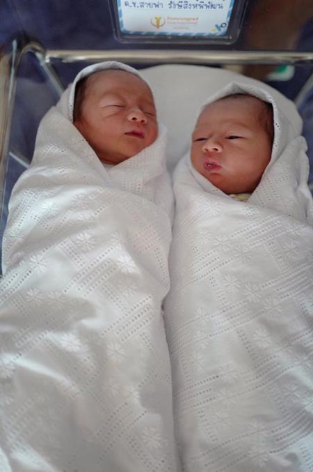 น้องสายฟ้า น้องพายุ ลูกชมพู่ อารยา น้องสายฟ้า น้องพายุ ลูกชมพู่ อารยา