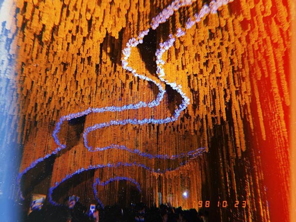 ตั้ว ศรัณยู ครอบครัว วงษ์กระจ่าง ตั้ว ศรัณยู ครอบครัว วงษ์กระจ่าง