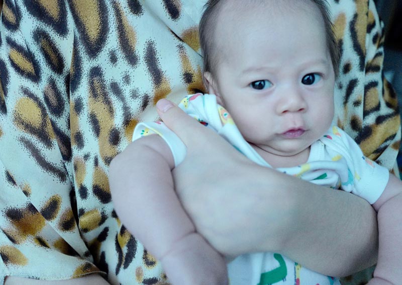 ชมพู่ อารายา น้องสายฟ้า น้องพายุ ชมพู่ อารายา น้องสายฟ้า น้องพายุ