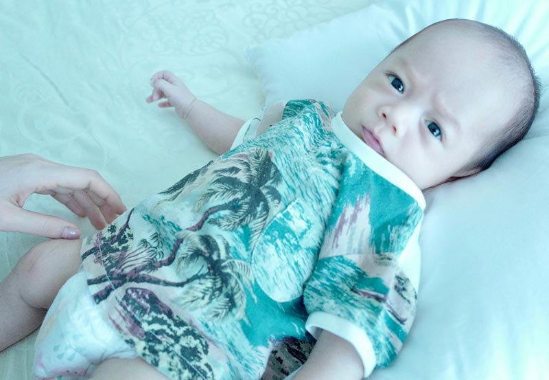 ชมพู่ อารายา น้องสายฟ้า น้องพายุ ชมพู่ อารายา น้องสายฟ้า น้องพายุ