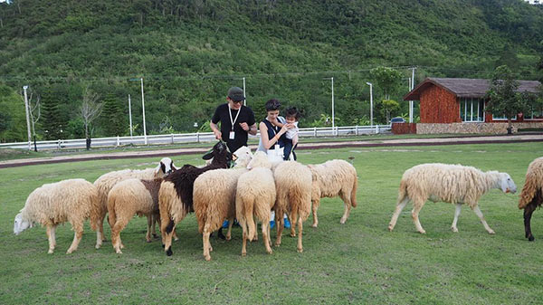 โบว์ แวนด้า ปอ ทฤษฎี โบว์ แวนด้า ปอ ทฤษฎี