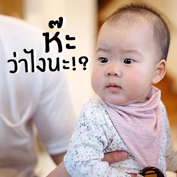 สติ๊กเกอร์ น้องเป่าเปา สติ๊กเกอร์ น้องเป่าเปา