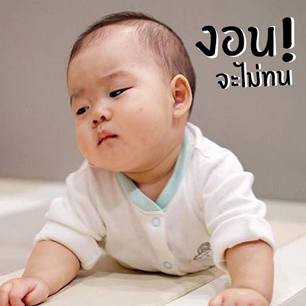 สติ๊กเกอร์ น้องเป่าเปา สติ๊กเกอร์ น้องเป่าเปา