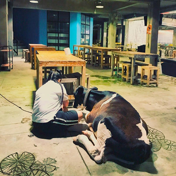 ตุ๊กกี้ บูบู้ ตุ๊กกี้ บูบู้