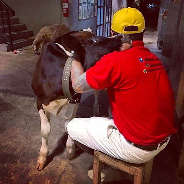 ตุ๊กกี้ บูบู้ ตุ๊กกี้ บูบู้