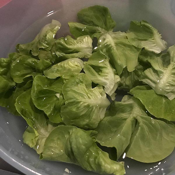 ปั้นจั่น ปรมะ ปั้นจั่น ปรมะ