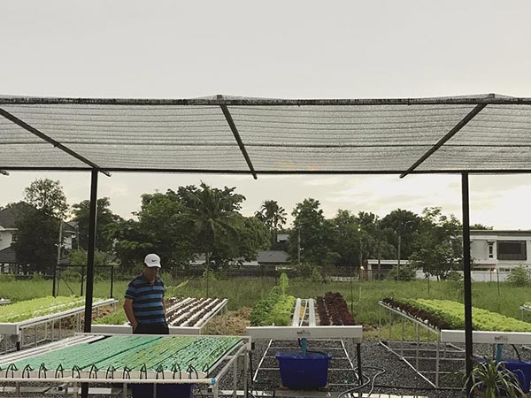 ปั้นจั่น ปรมะ ปั้นจั่น ปรมะ