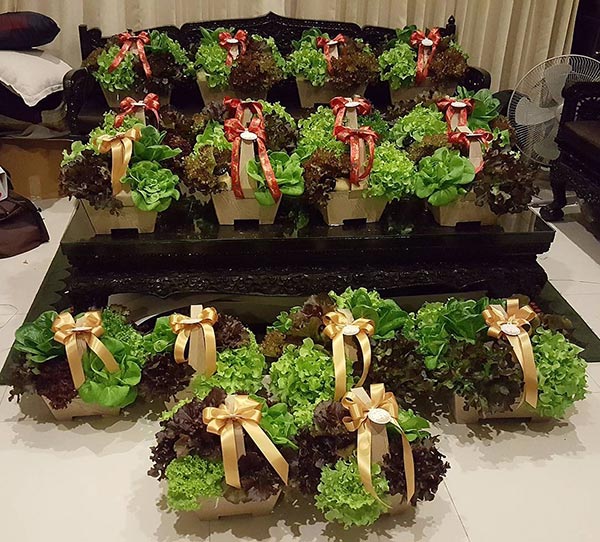 ปั้นจั่น ปรมะ ปั้นจั่น ปรมะ