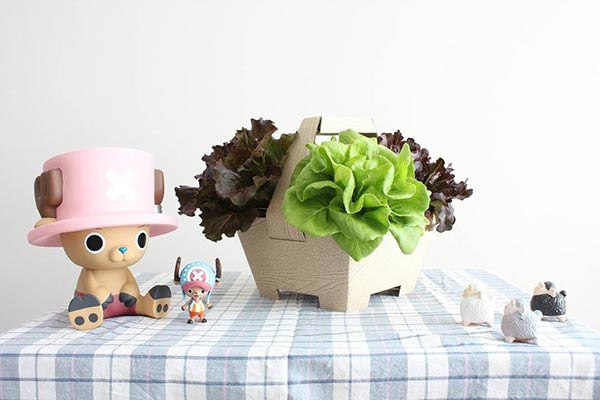 ปั้นจั่น ปรมะ ปั้นจั่น ปรมะ