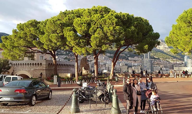 แอฟ ทักษอร แอฟ ทักษอร