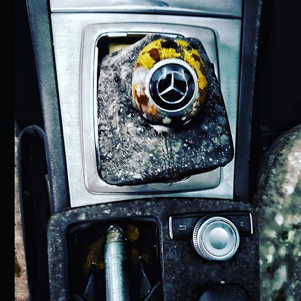 กฤต เจนพานิชการ กฤต เจนพานิชการ