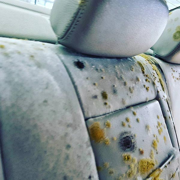 กฤต เจนพานิชการ กฤต เจนพานิชการ