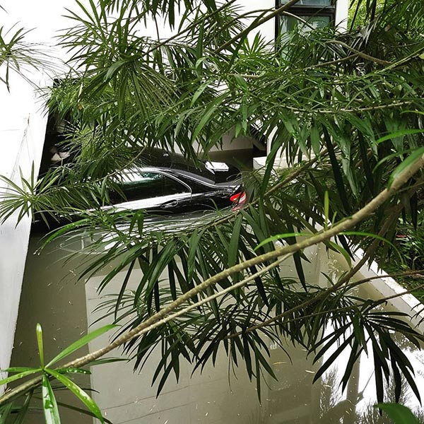 กฤต เจนพานิชการ กฤต เจนพานิชการ