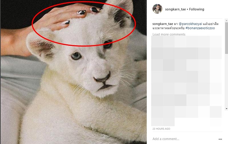 แอฟ สงกรานต์ แอฟ สงกรานต์