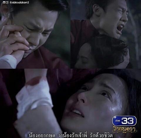 หมาก ปริญ หมาก ปริญ