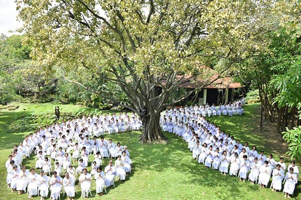 หนิง ปณิตา หนิง ปณิตา