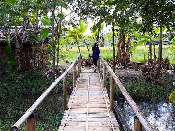 หนูดี วนิษา เรซ หนูดี วนิษา เรซ