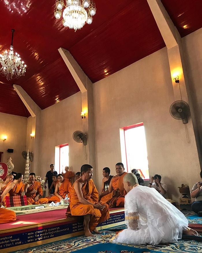 หมาก ปริญ บวช หมาก ปริญ บวช