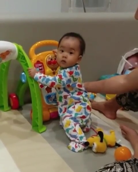 เป่าเปา เป่าเปา