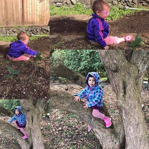 หลักเศรษฐกิจพอเพียง หลักเศรษฐกิจพอเพียง