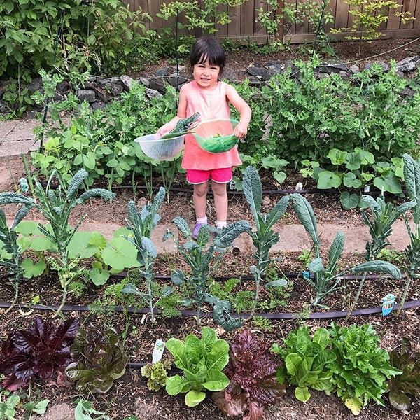 หลักเศรษฐกิจพอเพียง หลักเศรษฐกิจพอเพียง