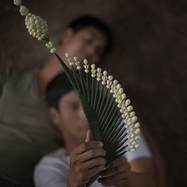 มะลิลา The Farewell Flower มะลิลา The Farewell Flower