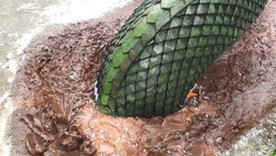 รูปปั้นพญานาคนาคี ผุดขึ้นจากผิวดิน รูปปั้นพญานาคนาคี ผุดขึ้นจากผิวดิน