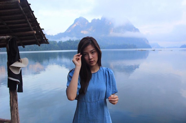 ใบเฟิร์น ใบเฟิร์น