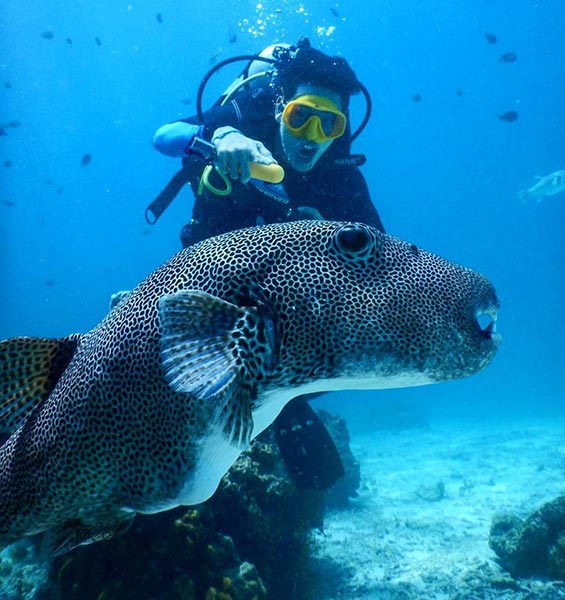 ป้อง ณวัฒน์ ป้อง ณวัฒน์