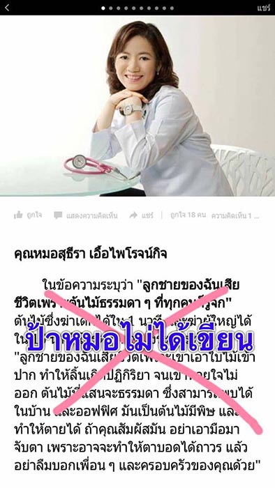 ต้นสาวน้อยประแป้ง ต้นสาวน้อยประแป้ง