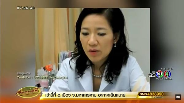 ต้นสาวน้อยประแป้ง ต้นสาวน้อยประแป้ง
