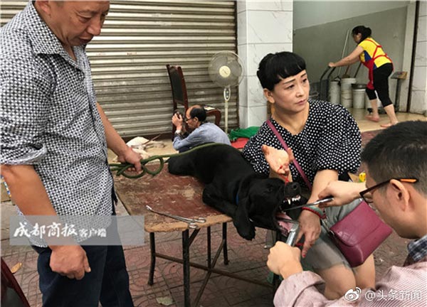 ตัดเส้นเสียงหมา ตัดเส้นเสียงหมา