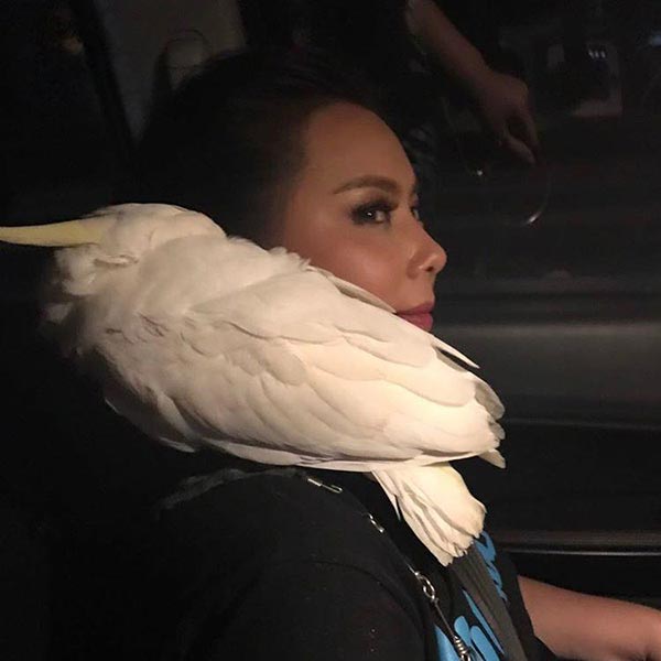 บุ๋ม ปนัดดา บุ๋ม ปนัดดา