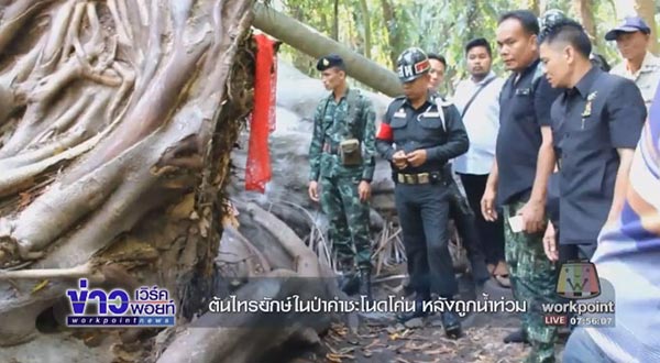 คำชะโนด คำชะโนด