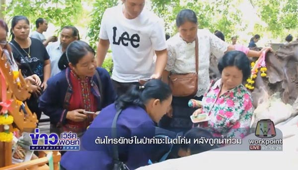 คำชะโนด คำชะโนด