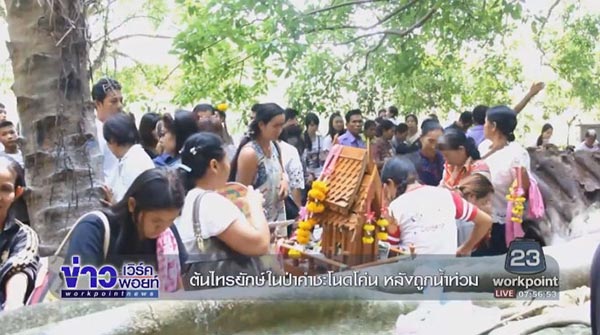 คำชะโนด คำชะโนด