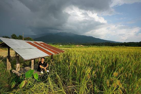 แอน ทองประสม แอน ทองประสม