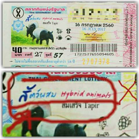 กองสลาก กองสลาก