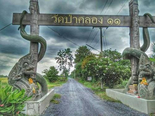 เลขเด็ดพญานาควัดป่าคลอง 11 เลขเด็ดพญานาควัดป่าคลอง 11