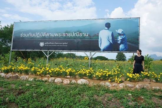 แอน ทองประสม แอน ทองประสม