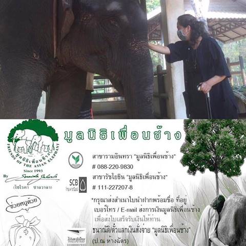 มาช่า สวยใจบุญ บริจาคเงินช่วย มาช่า สวยใจบุญ บริจาคเงินช่วย