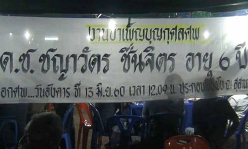 ไข้เลือดออกสายพันธุ์ใหม่ ไข้เลือดออกสายพันธุ์ใหม่