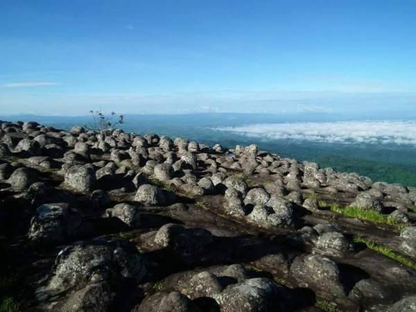 ภูหินร่องกล้า ภูหินร่องกล้า