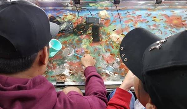 หมาก - คิม หมาก - คิม